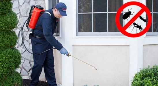 Güzelyalı Böcek İlaçlama böcek ilaçlama ve haşere kontrolü — ilaclama-tr.com